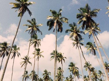 Luca B XXX Leak OnlyFans