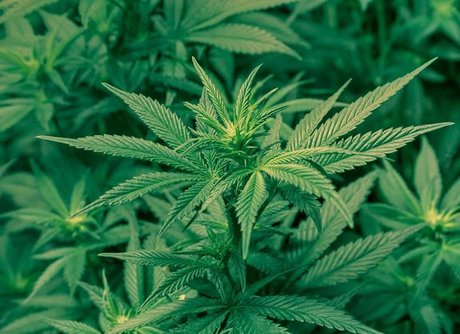 Whole Lotta Babee OnlyFans Sextape