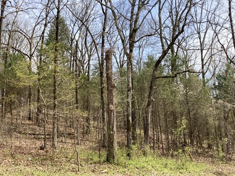 Top of the Ozarks OnlyFans-Creator