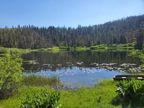 Brandi Benz OnlyFans Model Bilder