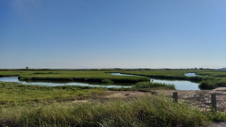 Tyler Cloud OnlyFans Striptease