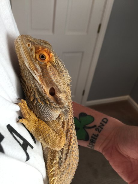 Hardiner q Nackt auf OnlyFans Leak