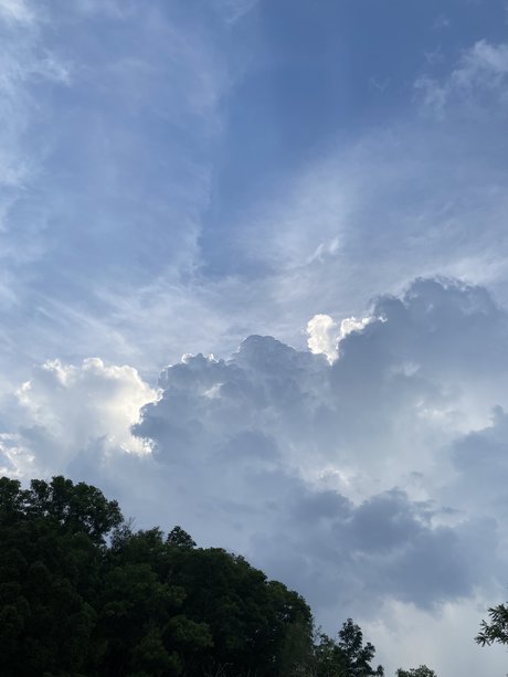 Fine China OnlyFans-Komplettinhalte