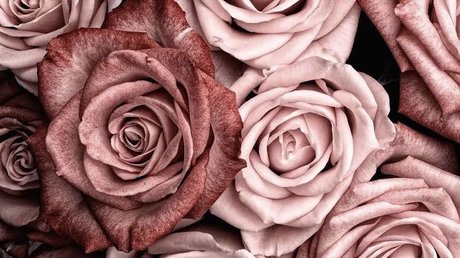 JordieGurl OnlyFans kostenlos geleakt