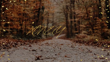 Xonecy Neues OnlyFans