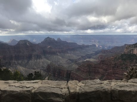 Madame Mousey Porn OnlyFans Leak