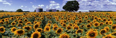 makenzie_ Füße OnlyFans