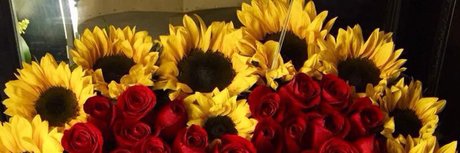 Goldenhoney OnlyFans Nacktbilder