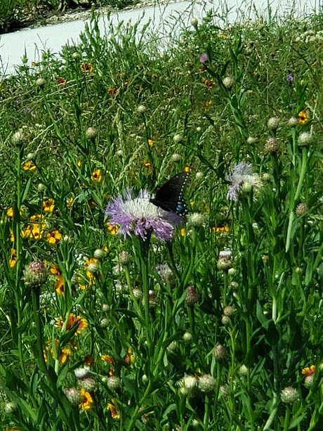 Jo Brite Sex auf OnlyFans