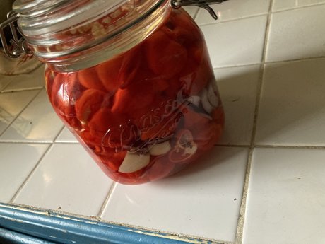 GingerRoot XXX OnlyFans