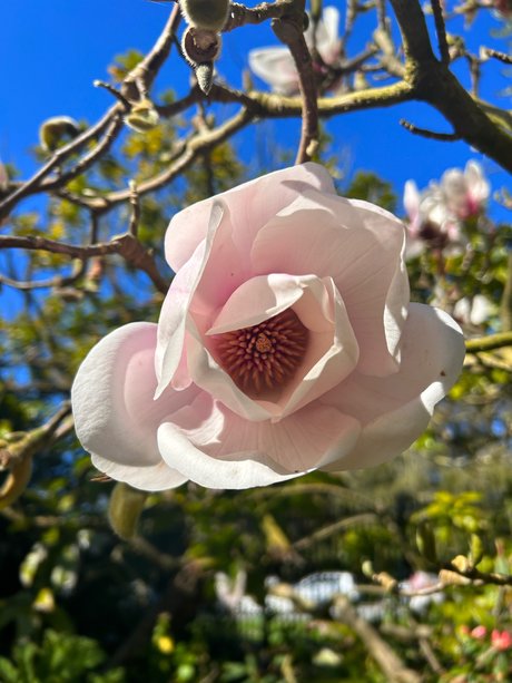 Jayla Sweet XXX OnlyFans