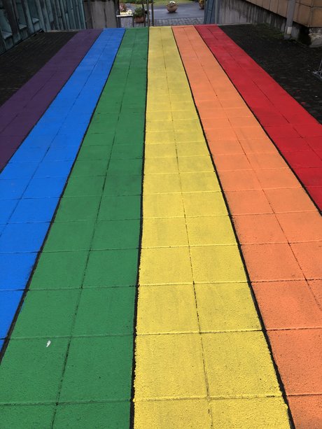 _rhildur Sara Sveinbj rnsd ttir 