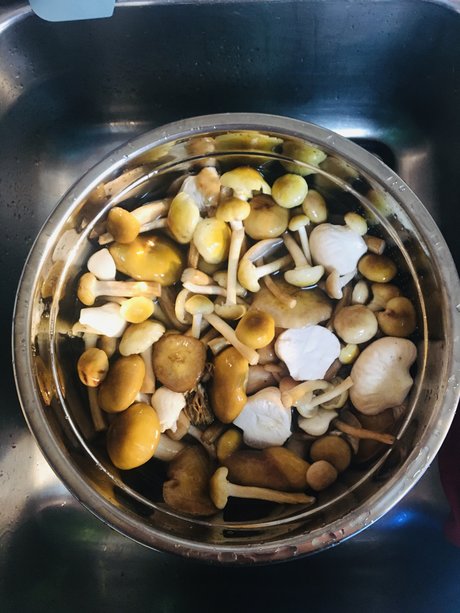 Too Many Potatos OnlyFans Striptease