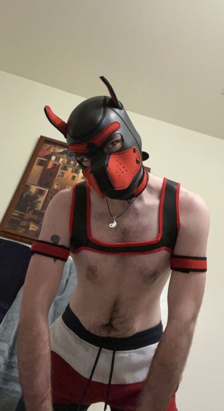 Willy D Nackt OnlyFans