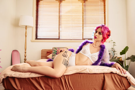 Nova Zone OnlyFans geleakter Pornografie