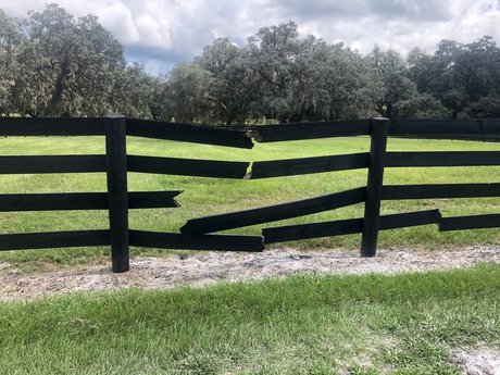 MACAROOT MIKE S BJS FREE OnlyFans Nacktbilder