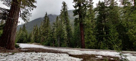 Divine Goddess PNW Leaks von Nacktbildern auf OnlyFans