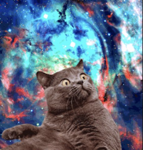 Shanikua Nacktbilder OnlyFans geleakt