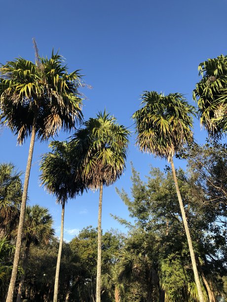 Aaron Belman Kostenlose OnlyFans-Inhalte