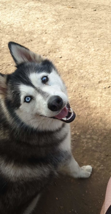 TIMEOUT TUX_ OnlyFans Leaks Sex