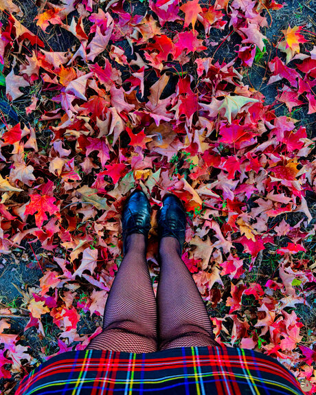 Sinful Sloth Slut she her_ XXX OnlyFans