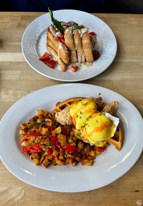 Sinful Sloth Slut she her_ OnlyFans Leak