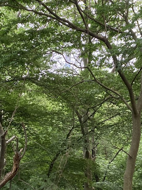 UncutNYC OnlyFans-Bilder