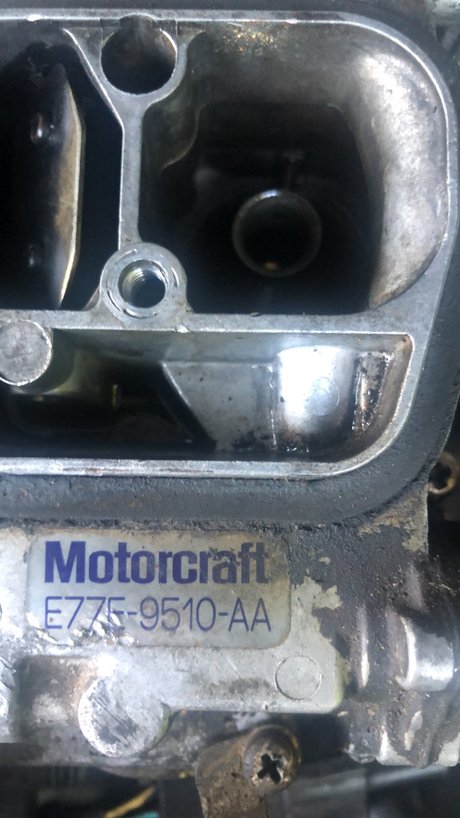 1998wranglerbeast Nacktbilder von OnlyFans