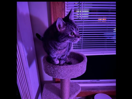 Timelordgwp OnlyFans geleakte Pornografie