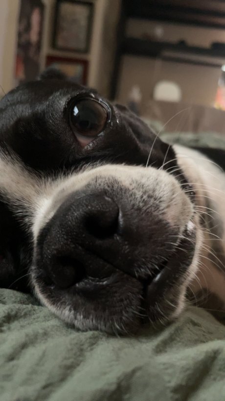 poppy Nackt OnlyFans