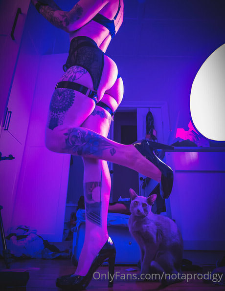 Notaprodigy Bilder OnlyFans