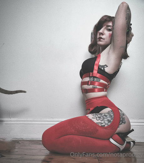 Notaprodigy Profilbild