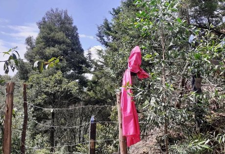 MakyMakys Leaks von Nacktbildern auf OnlyFans