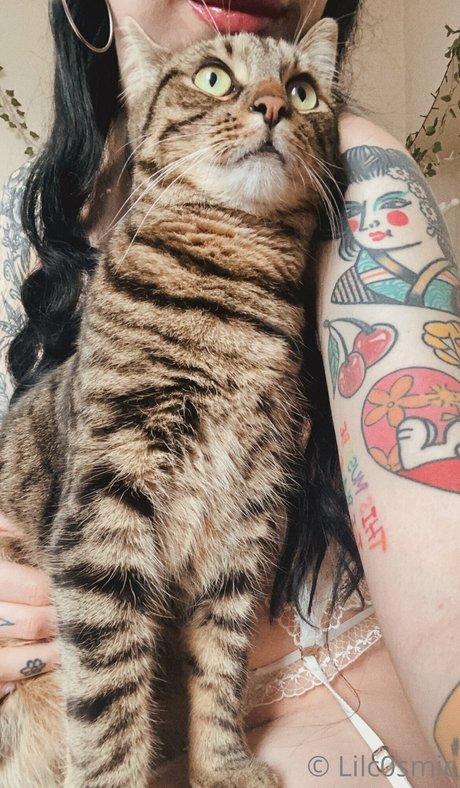 CosmicCreatures Kostenloses OnlyFans