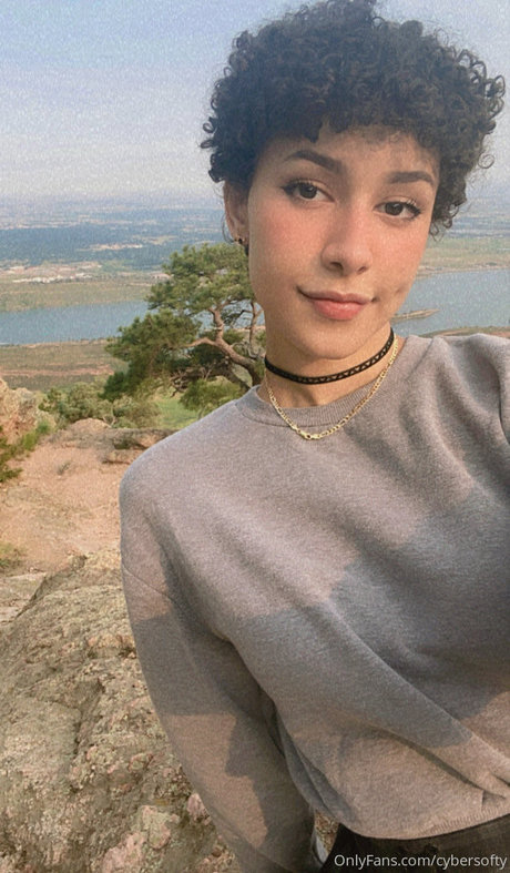 Cybersofty OnlyFans-Seite