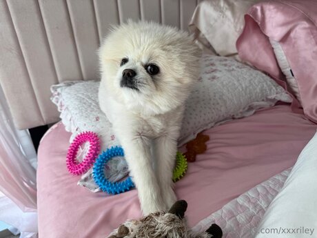 xxxriley OnlyFans Nacktbilder