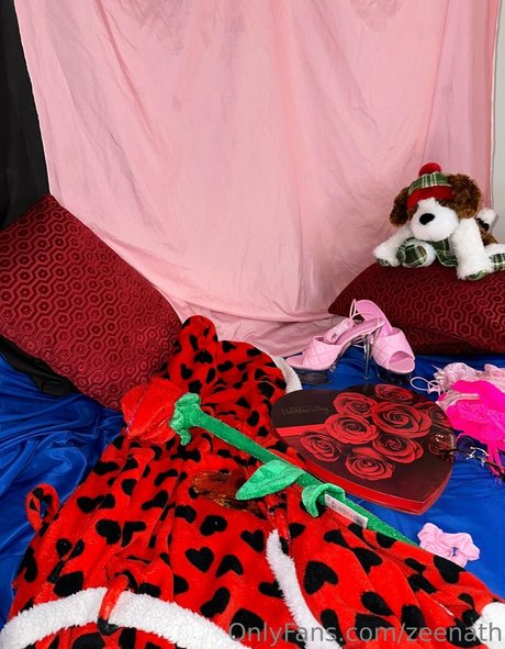 zeenath Nacktpornos auf OnlyFans