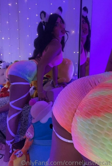 corneliusthecat OnlyFans-Leaks