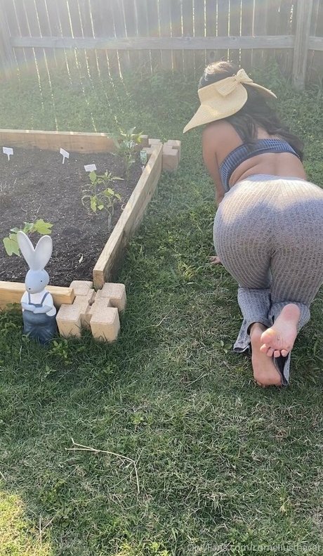 corneliusthecat NurlyFans-Brüste