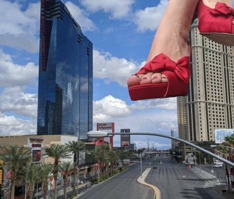 wreckinbecca Profilbild