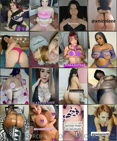 tasteofbunny Neues OnlyFans