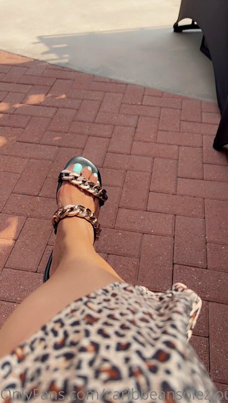 caribbeansolezlounge XXX OnlyFans