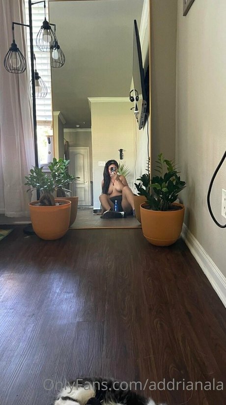 addrianala OnlyFans-Bilder