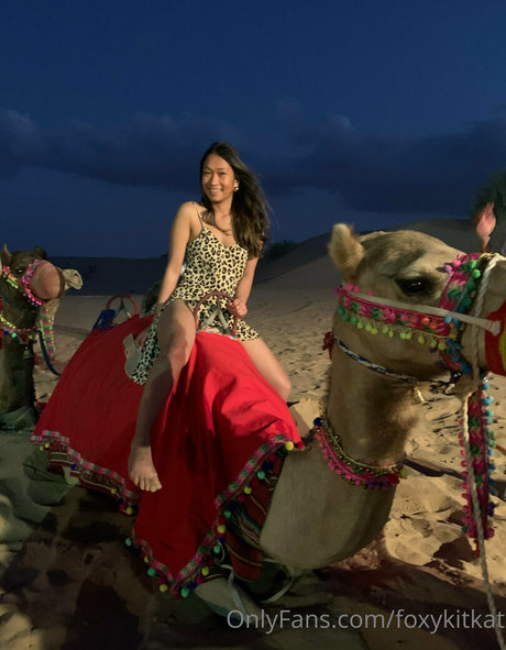 foxykitkat OnlyFans Sextape geleakt