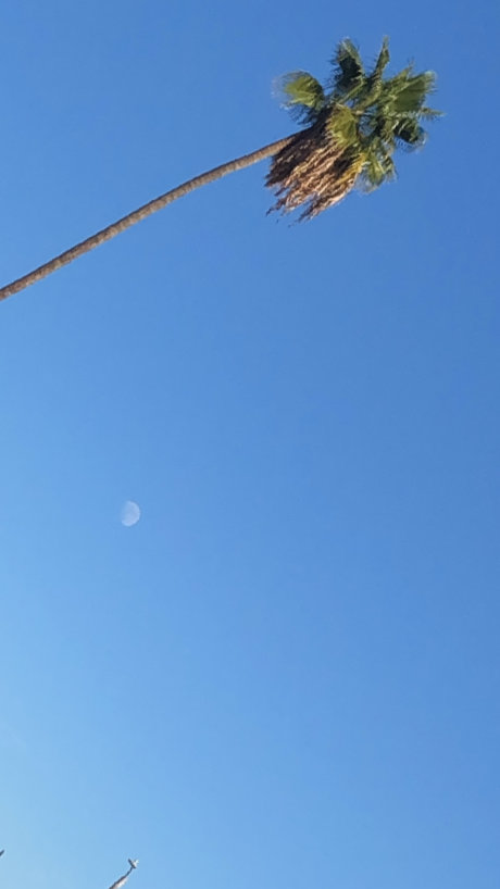 lllletsplay96 OnlyFans-Seite