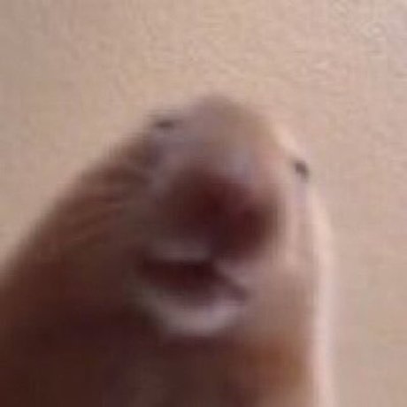 drakeclap gif OnlyFans Leaks Nacktbilder