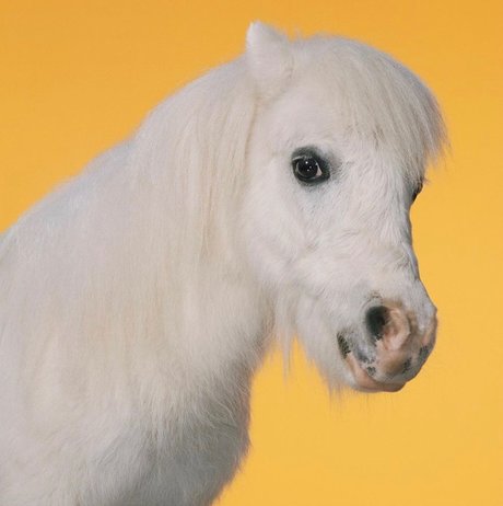 _U N I C O R N_ OnlyFans Nacktbilder geleakt