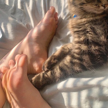 darcy taylor Nacktbilder OnlyFans Geleakt