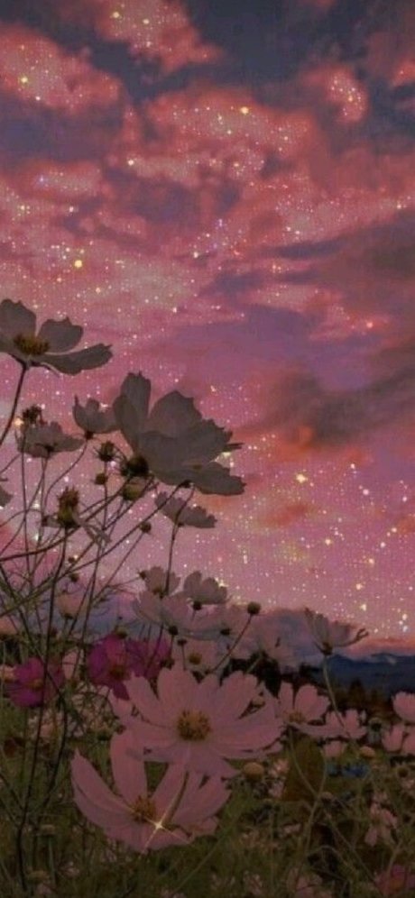 The Thicc Mermaid OnlyFans Nacktfotos