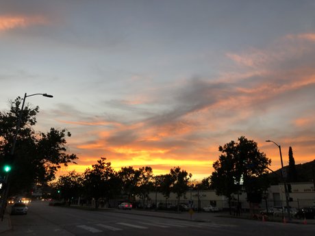 BeardedWizard OnlyFans Sex